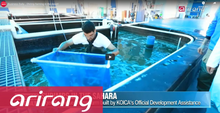 Load image into Gallery viewer, Shrimp farming in the desert
