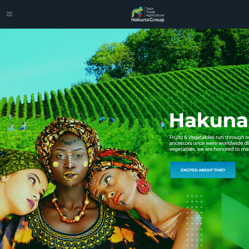 Hakuna Group, supplier quality African food products to the European market and beyond