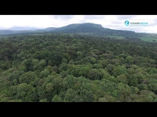 Load image into Gallery viewer, My Magical Kenya Ep19: The Beauty That is Mt. Elgon
