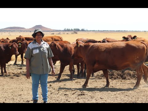 African Farming - Palesa Moahlodi never gave up! (Full Episode)