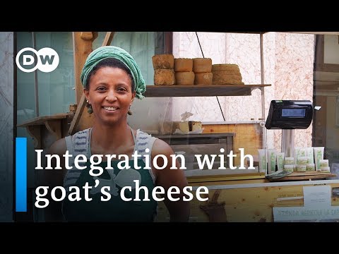 Making cheese in the Alps - a story of integration