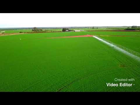 Farming in South Africa