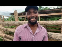 Load and play video in Gallery viewer, How to start a cattle farm - Episode 5 - Building a ranch in Ghana
