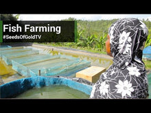 Load image into Gallery viewer, Fish Farming.
