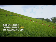 Load and play video in Gallery viewer, Contribution of Agriculture to Rwanda&#39;s sustainable tourism story
