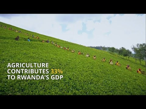 Contribution of Agriculture to Rwanda's sustainable tourism story