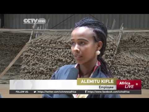 Ethiopian entrepreneurs are using bamboo to make finished goods
