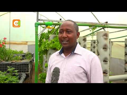 SMART FARM | Focus on Aquaponics Farming