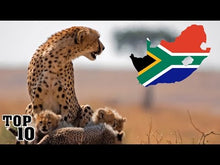 Load image into Gallery viewer, Top 10 Things To Do In South Africa
