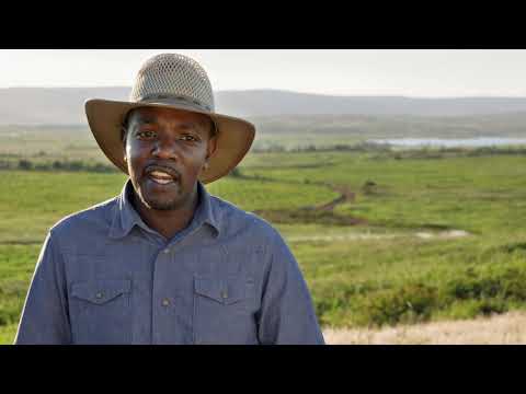 The Howard G. Buffett Foundation – Transforming Agriculture in Rwanda