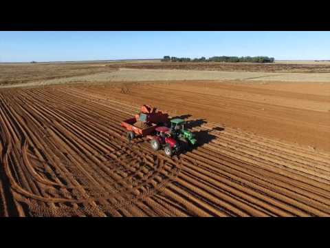 FARMING IN SOUTH AFRICA