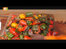 Load and play video in Gallery viewer, Smart Farm: Capsicum Farming
