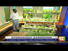 Load image into Gallery viewer, Citizen Extra: Hydroponic Gardening

