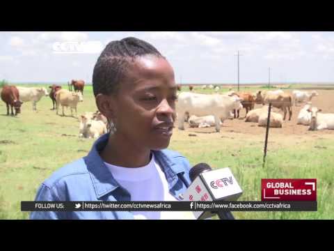 South African youth take up farming in numbers