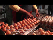 Load and play video in Gallery viewer, Young farmer is making a mark in South Africa &#39;s poultry industry
