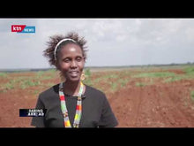 Load image into Gallery viewer, Grace Mwangi: Kenyan Large Scale Farmer in Uganda

