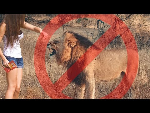 10 Things Not to Do in South Africa