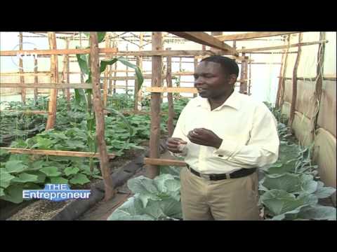 ENTREPRENEUR - Investing in Kenya's Agricultural Sectors.