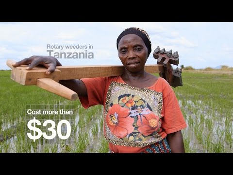 Rice Weeding in Tanzania: Innovations from the Field