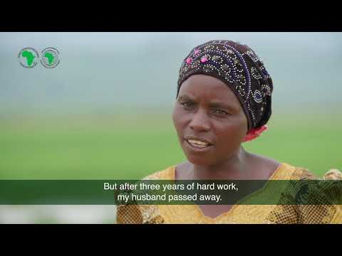 Rwanda: modernizing agriculture in Bugesera to escape poverty