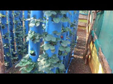 Load and play video in Gallery viewer, Aquaponics technology; Tanzania Morogoro
