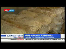 Load and play video in Gallery viewer, Farmers exporting Mushroom
