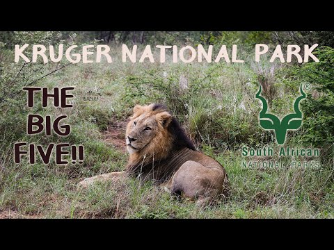 Kruger National Park | December 2020 | Part 1