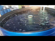 Load and play video in Gallery viewer, Fish farming in Durban South Africa
