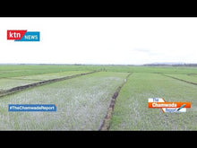 Load and play video in Gallery viewer, The Chamwada Report: The Future of Rice Farming in Kenya
