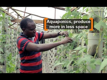 Load and play video in Gallery viewer, Kenya: Aquaponics, produce more in less space
