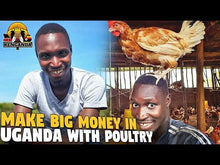 Load image into Gallery viewer, How The African Diaspora Can Earn Big Money in The Poultry Business in Uganda  @Farm Up
