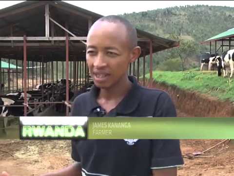 Importance of Rwanda's Agricultural Sector - Part 2