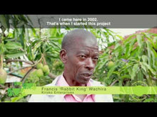 Load image into Gallery viewer, Urban Farming in Nairobi
