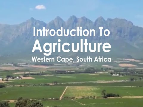 Introduction To Agriculture Western Cape, South Africa