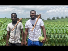 Load and play video in Gallery viewer, I Started A Fifteen (15) Acre Farm With Just $51 In The Volta Region, Ghana.

