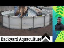 Load and play video in Gallery viewer, How to start commercial backyard fish farming -The WONTESTY Story
