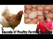 Load image into Gallery viewer, Poultry Farming in Nigeria (+ Free Practical Training on Our Farm)
