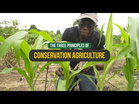 CONSERVATION AGRICULTURE - The Three Principles