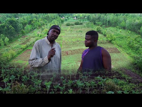 America to Kenya for farming