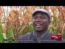 Load and play video in Gallery viewer, Zimbabwean migrants build profitable farm business in South Africa
