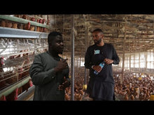 Load and play video in Gallery viewer, Sudanese Left The Uk To Be A Poultry Farmer In Northern Nigeria
