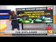 Load and play video in Gallery viewer, | THE EXPLAINER | Avocado Exports to China

