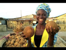 Load and play video in Gallery viewer, Nigeria&#39;s BOOMING Coconut business!
