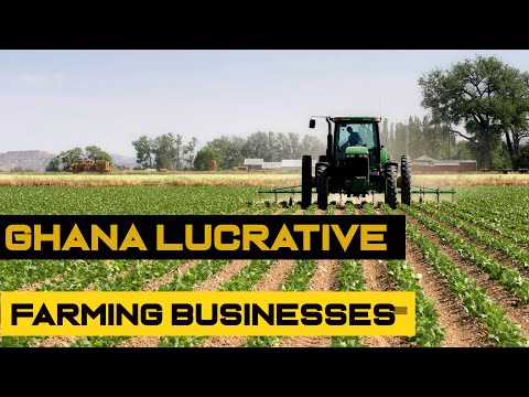 TOP 10 PROFITABLE FARMING BUSINESS IDEAS IN GHANA WITH LITTLE CAPITAL
