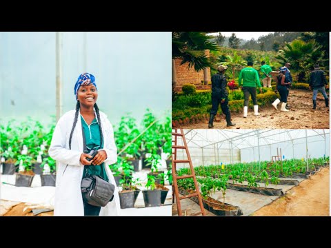 🇷🇼Visiting the Best Farm In Rwanda