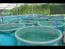 Load and play video in Gallery viewer, The game changer for fish farming.
