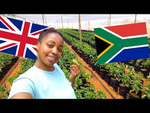 Load image into Gallery viewer, Leaving The UK To Start A Family Farm In South Africa! | Farm Tour
