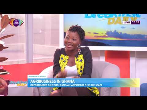Exploring opportunities in agribusiness for the Ghanaian youth | Breakfast Daily