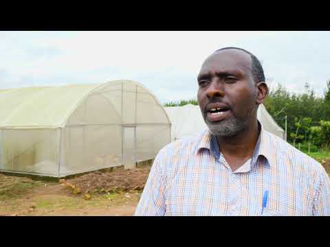 IITA Rwanda - Transforming Rwandan Agriculture