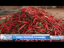 Load image into Gallery viewer, Chilli: The hottest cash crop in Rwanda

